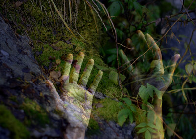 FAD STU je spoluautorom vzdelávania v oblasti uhlíkovej neutrality