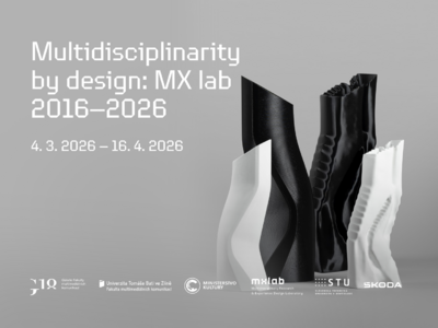 Multidisciplinarity by design: MX lab 2016–2026