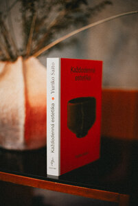 Prednáška: yuriko saito: každodenná estetika - Každodenná estetika_Bennet Publishing 02 (c) Dominik Janovský