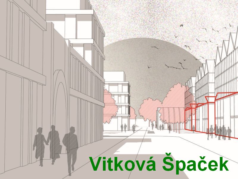 Vitková Špaček